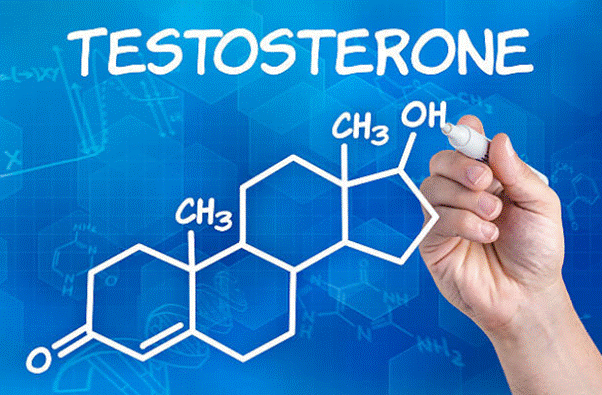 Testosteron là một hormon quan trọng của nam giới